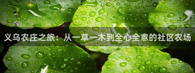 泉州摩根娱乐会所电话