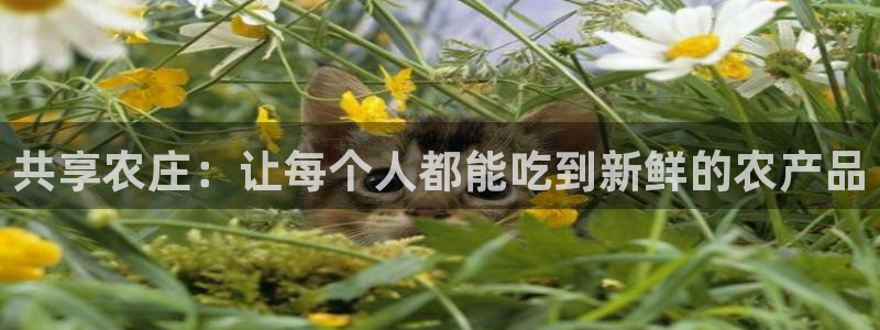 长沙摩根娱乐