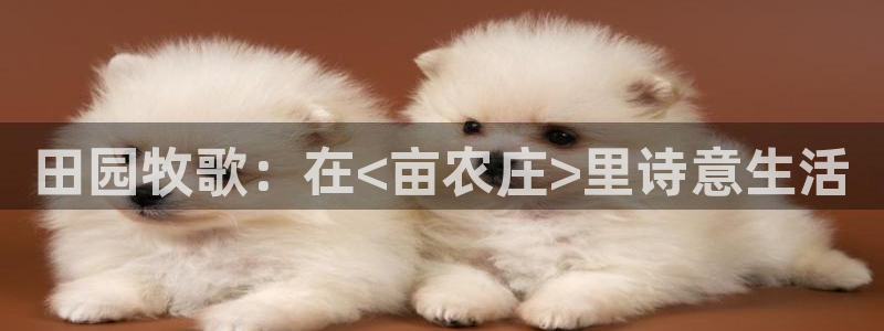 摩根娱乐宝怎么下载