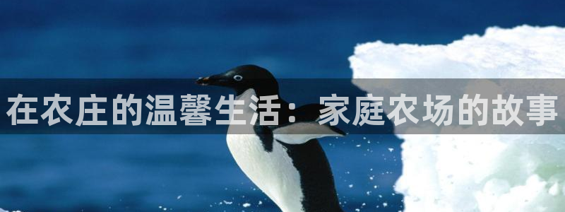 摩根娱乐 实c力77310