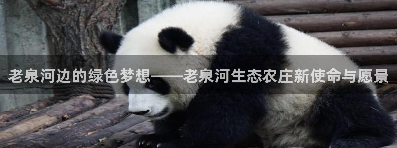 摩根娱乐宝登陆网址