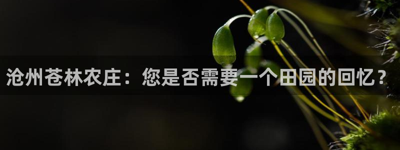 摩根娱乐宝官网