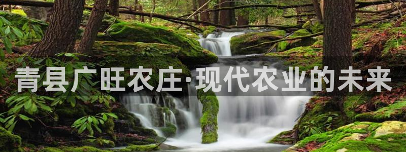 摩根士丹利凯撒娱乐