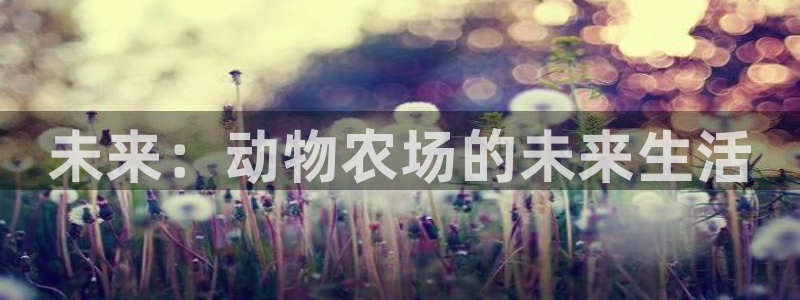 义乌摩根娱乐会所价格