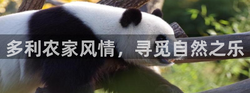 摩根国际娱乐宝官网