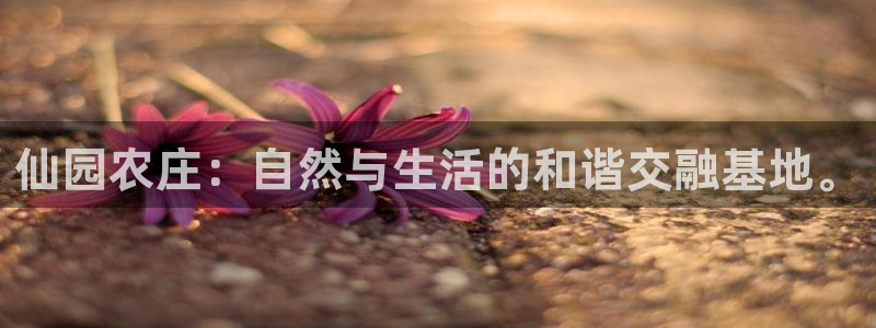 深圳摩根时代娱乐公司