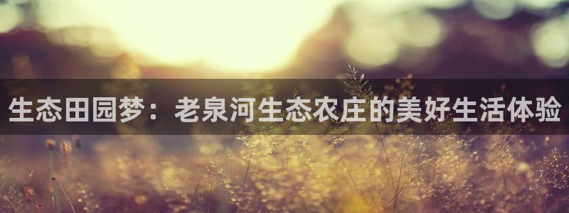 摩根娱乐宝打不开