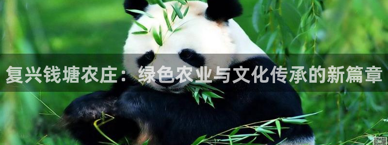 摩根娱乐是骗局吗?