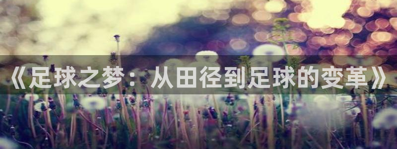 下载摩根国际娱乐宝