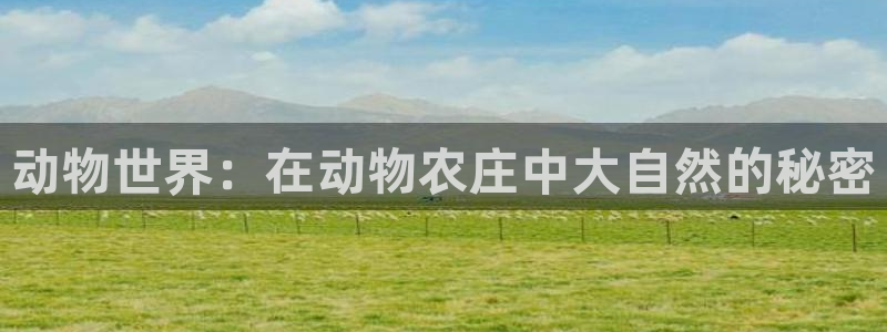 摩根娱乐宝下载