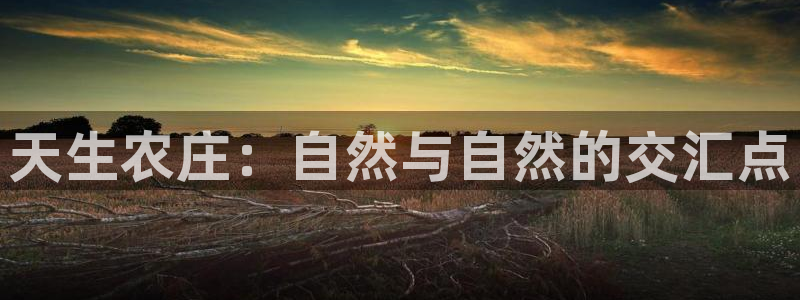 摩根大通会员买金沙娱乐