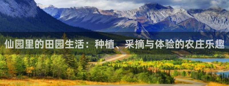 临平摩根娱乐会所