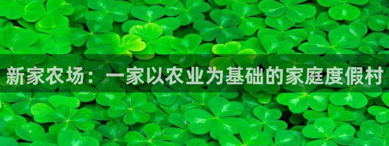 福建泉州白宫摩根会娱乐