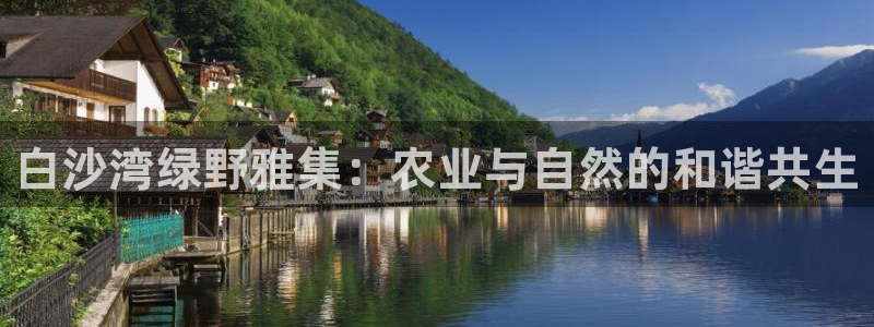 摩根娱乐宝怎么赚钱的