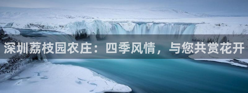 摩根娱乐这个平台怎么样