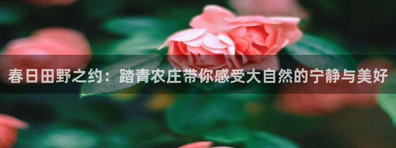 摩根娱乐登录入口网站