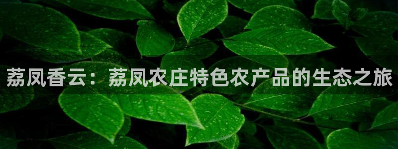 摩根国际商务娱乐会所