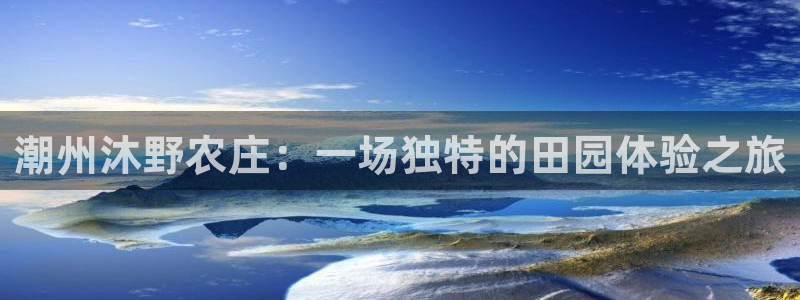 摩根会娱乐会所