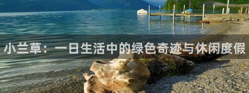 摩根娱乐50186选择