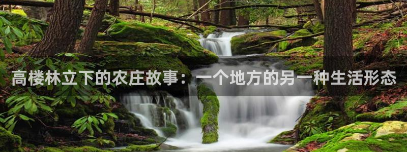 摩根娱乐平台云挂机安全吗