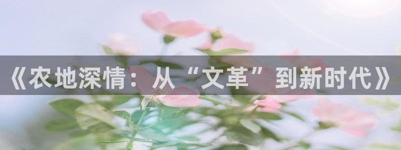 摩根国际娱乐宝进不去