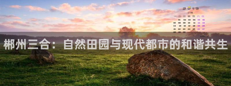 摩根娱乐 F招D商98732