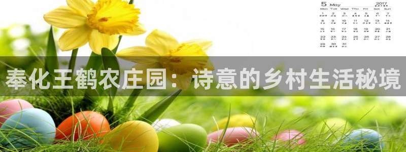 义务摩根娱乐会所