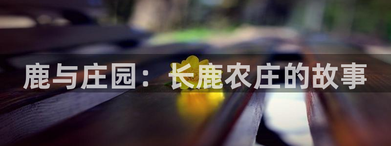 摩根娱乐50186选择