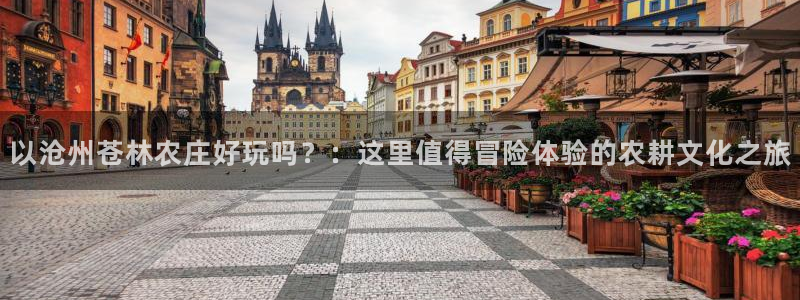 摩根娱乐二三事