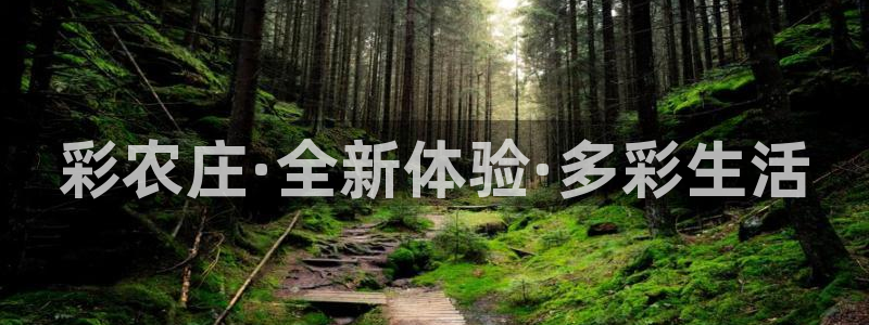 摩根娱乐宝总部招商