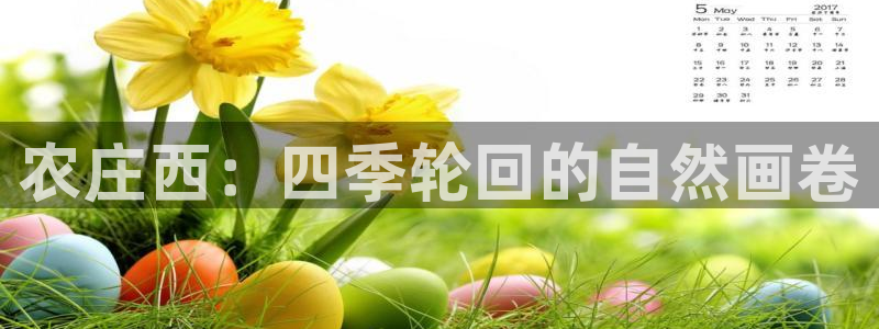 摩根娱乐50186找