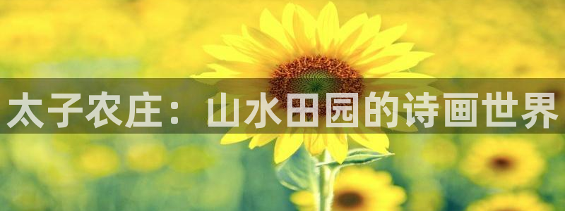 摩根娱乐宝注册