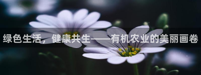 摩根娱乐宝下载