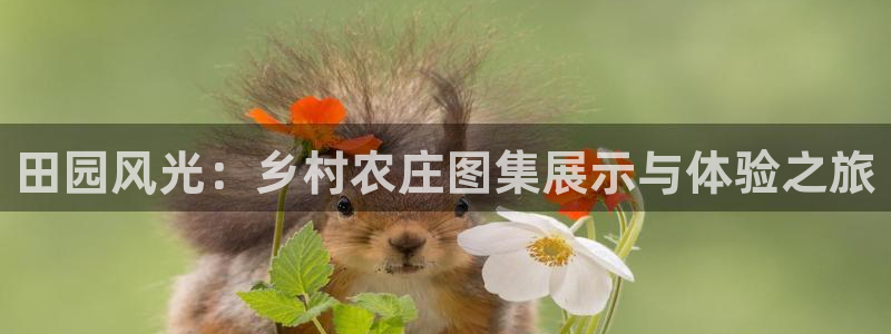 义乌摩根娱乐会所怎么样