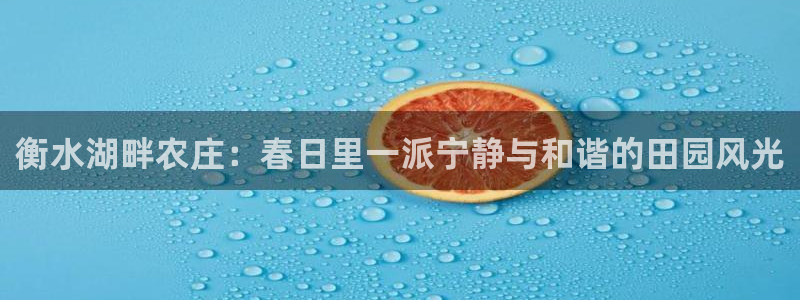 摩根大通黄金娱乐