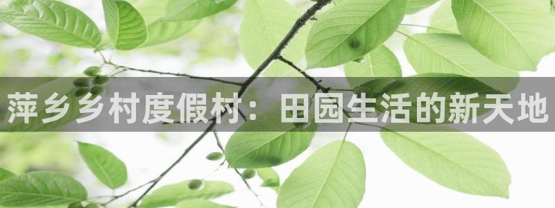摩根娱乐宝怎样拉下线