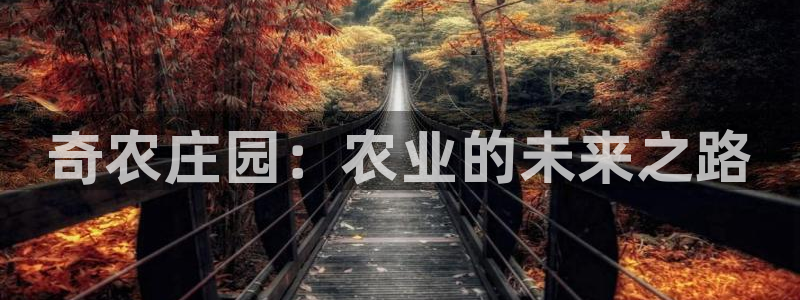 摩根娱乐宝口碑