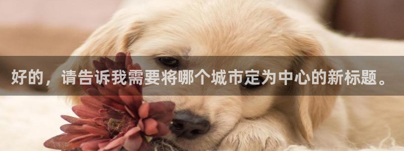 深圳摩根时代娱乐公司