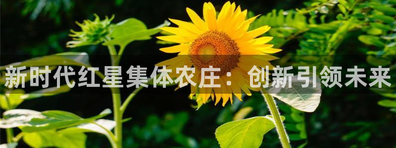 摩根100娱乐会所