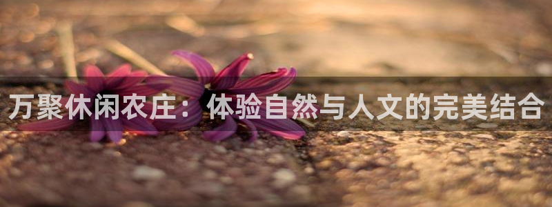 摩根娱乐宝的真假