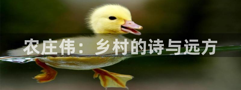 摩根娱乐黑别人网站