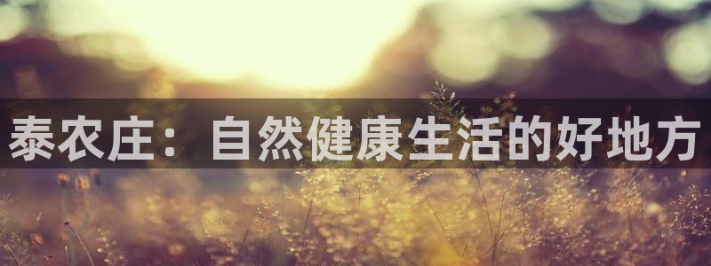 长春拉图摩根附近娱乐