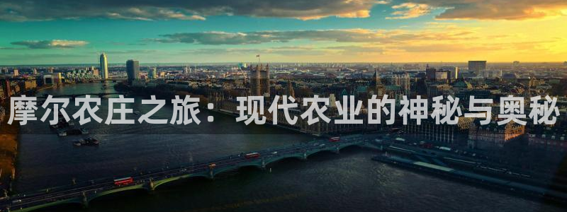 摩根娱乐宝k线图