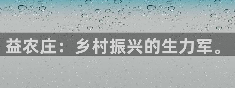 摩根娱乐宝如何提现